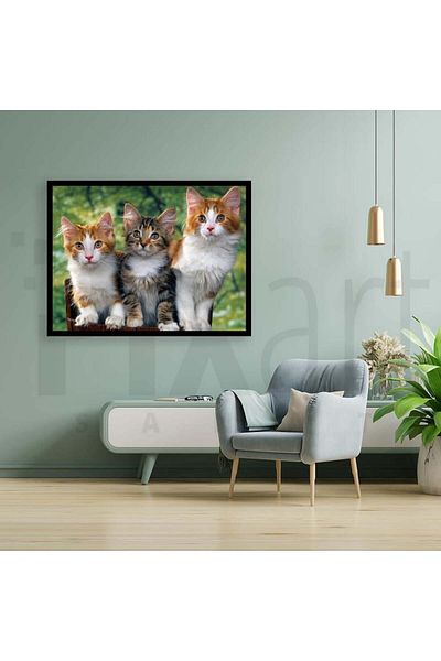 pixartsanat Three Kittens 30 *40 Cm Pixart Art Diamond Mosaic Painting Diamond Turkey