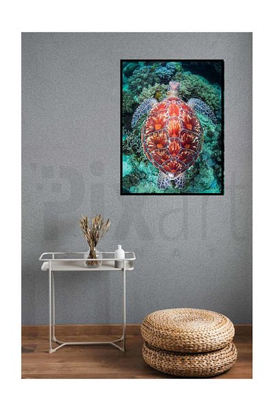 pixartsanat Caretta Karetta Pixart Art Diamond Mosaic Painting Diamond Türkiye 40*50