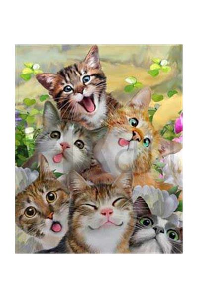 pixartsanat Sweet Six Cats Pixart Art Diamond Mosic Painting Daimond Turkey 53*68