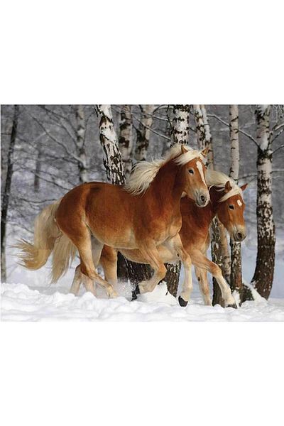 pixartsanat Horses Running Galloping in the Forest 30 *40 Cm Pixart Art Diamond Mosaic Painting Diamond Turkey