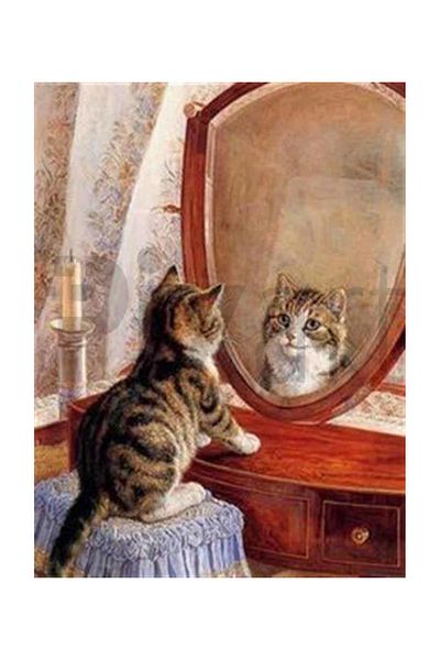 pixartsanat Ornamental Kitten Pixart Art Diamond Mosaic Painting Diamond Türkiye 40*53