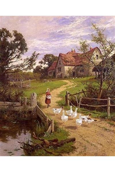 pixartsanat Pixart Art Diamond Mosaic Diamond Goose Painting - Woman, Feeding, Turkey, 45*55