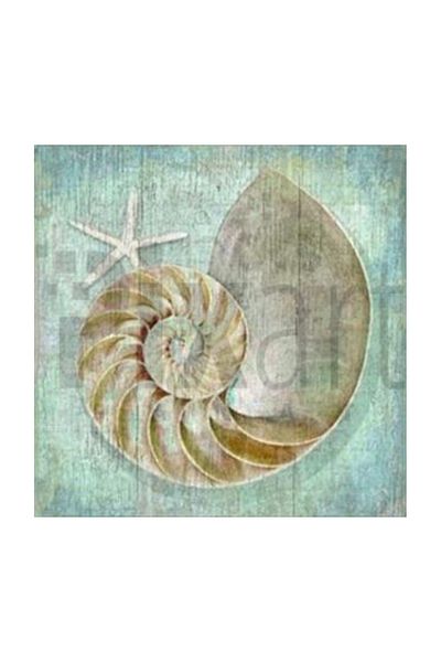 pixartsanat Seashell And Starfish Pixart Art Diamond Mosaic Painting Diamond Turkey 58*58