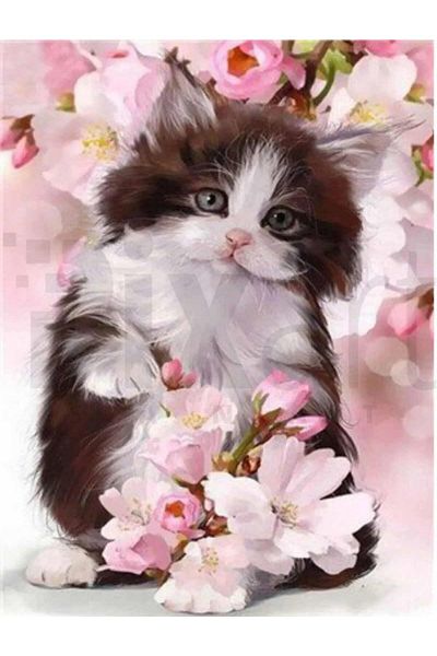 pixartsanat Cute Cat 45x60 PixArt Art Diamond Mosaic Painting Diamond Turkey