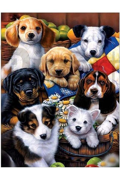pixartsanat Dogs 40*30 Cm Pixart Art Diamond Mosaic Painting Diamond Turkey