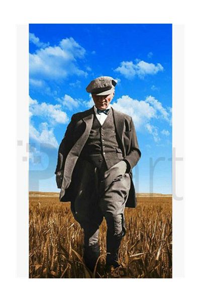 pixartsanat Pixart Diamond Mosaic on Atatürk Wheat Field - Turkey 40*60