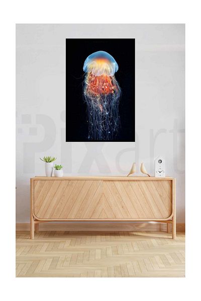 pixartsanat Beautiful Jellyfish Pixart Art Diamond Mosaic Painting Diamond Turkey 37*69