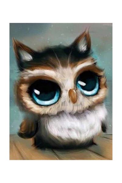 pixartsanat Line Owl Pixart Art Diamond Mosaic Painting Diamond Turkey 39*52