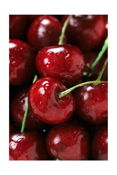 pixartsanat Cherries Pixart Art Diamond Mosaic Painting Diamond Turkey 43*61