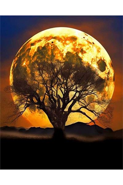 pixartsanat Full Moon And Dried Tree 40x50 PixArt Art Diamond Mosaic Painting Diamond Turkey