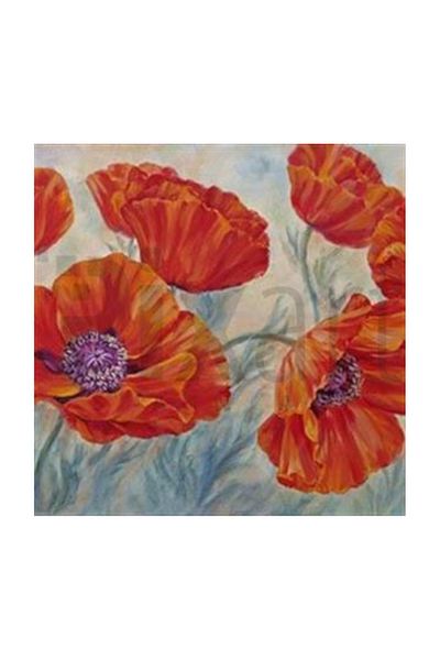 pixartsanat Red Poppy Drawing Pixart Art Diamond Mosaic Painting Diamond Türkiye 50*53