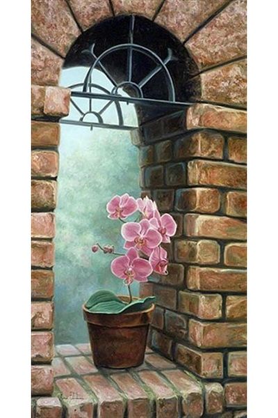 pixartsanat Old Wall Front Pink Flower Pixart Art Diamond Mosaic Painting Diamond Turkey 38*73
