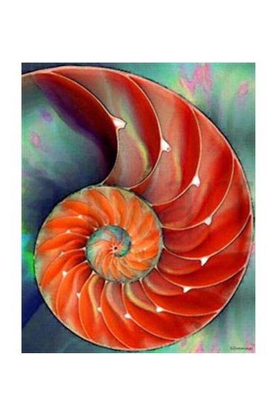 pixartsanat Red Sea Shell Pixart Art Diamond Mosaic Painting Diamond Turkey 48*58