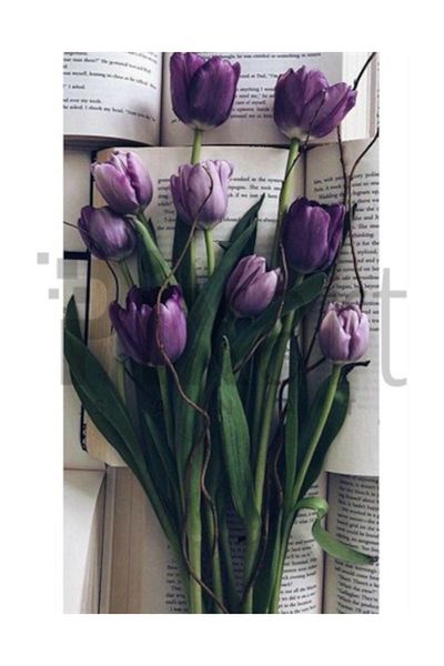 pixartsanat Books And Purple Tulips Pixart Art Diamond Mosaic Painting Diamond Türkiye 36*71