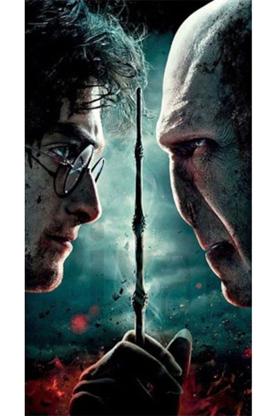 pixartsanat Harry Potter and Lord Voldemort Pixart Diamond - 40*60 Turkey Art with Diamond Mosaic