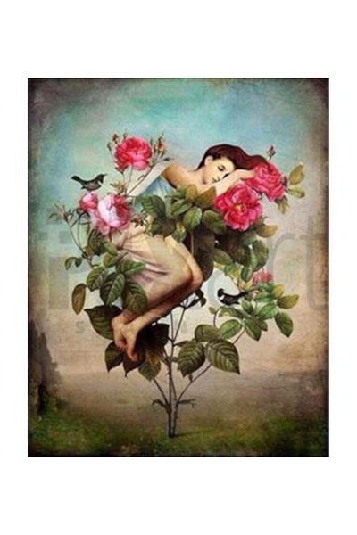 pixartsanat Birth Through the Roses Pixart Art Diamond Mosaic Painting Diamond Turkey 60*76