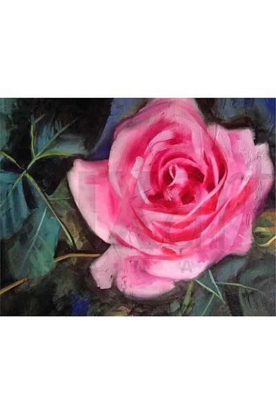 pixartsanat Pink Rose 50x35 PixArt Art Diamond Mosaic Painting Diamond Turkey
