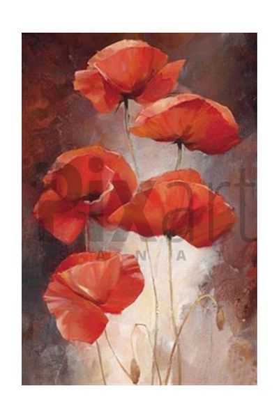 pixartsanat Red Poppies Pixart Art Diamond Mosaic Painting Diamond Turkey 40*58