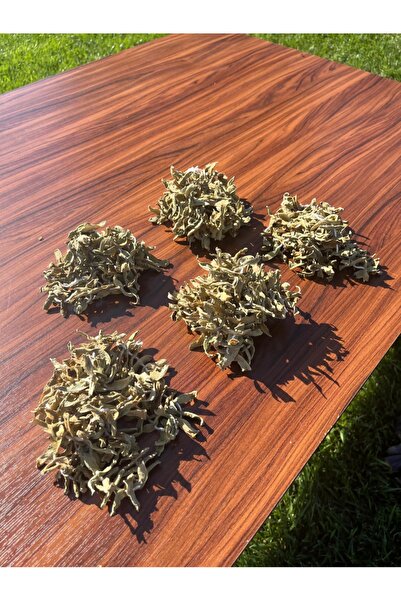 Kg Kurutulmuş Gıda Fasulye Kurusu 5 Dizi