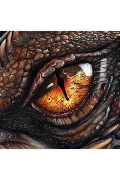 pixartsanat Dragon Eye 50x50 PixArt Art Diamond Mosaic Painting Diamond Turkey