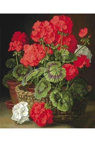 pixartsanat Red White Geranias Pixart Art Diamond Mosaic Painting Diamond Türkiye 48*58