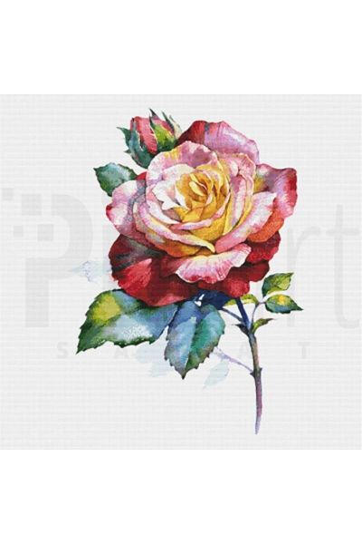 pixartsanat Colorful Rose 50x50 PixArt Art Diamond Mosaic Painting Diamond Türkiye