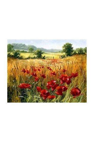pixartsanat Poppy Field Pixart Art Diamond Mosaic Painting Diamond Turkey 73*58