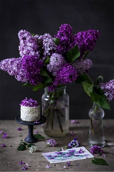 pixartsanat Purple Hyacinths in a Vase Pixart Art Diamond Mosaic Painting Diamond Türkiye 40*60