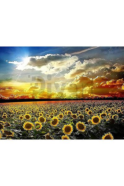 pixartsanat Wild Flowers 40*60cm Pixart Art Diamond Mosaic Painting Diamond Turkey