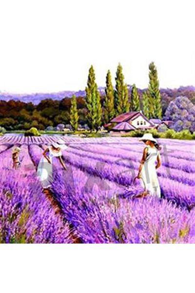 pixartsanat Lavender Scented Field Pixart Art Diamond Mosaic Painting Diamond Türkiye 52*52