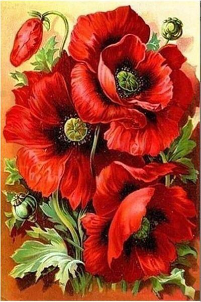 pixartsanat Red Poppy 25x30 PixArt Art Diamond Mosaic Painting Diamond Turkey