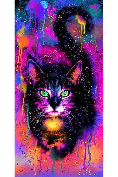 pixartsanat Cat from the Space Space Pixart Art Diamond Mosaic Painting Daimond Türkiye 35*68