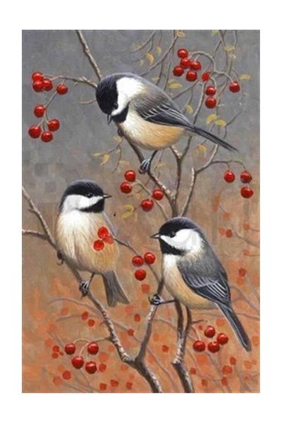 pixartsanat Little Birds in Red Fruit Tree Pixart Art Diamond Mosic Painting Daimond Turkey 45*68
