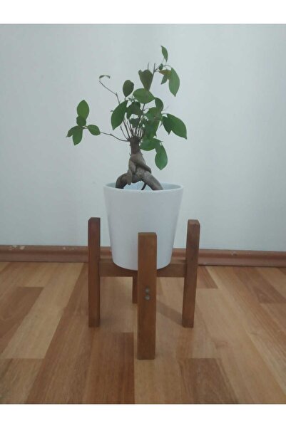MarangozDede 30 Cm Saksılık Ahşap Çiçeklik Saksılık Çiçeklik Dekoratif