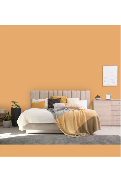 Filli Boya Momento Silan Tam Silinebilir ve Yıkanabilir Silikonlu İç Cephe Boyası