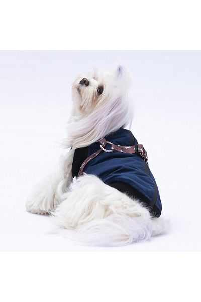 Pawstar Navy Blue Nuuk Vest Dog Vest Dog Outfit Dog Raincoat