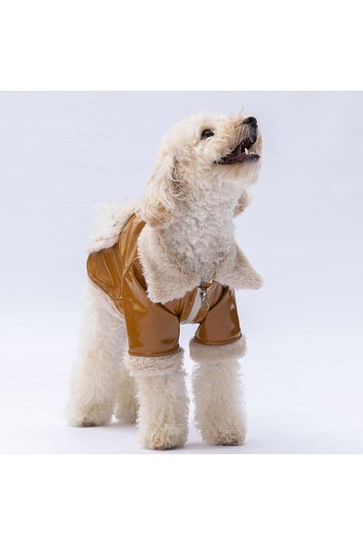 Pawstar Camel Vegas Jacket Cat Dog Jacket Cat Dog Outfit Cat Dog Dress