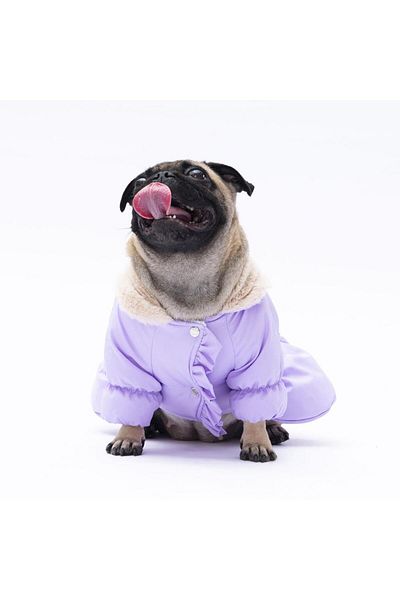 Pawstar Lilac Elizabeth Dog Coat Dog Raincoat Dog Outfit Dog Dress