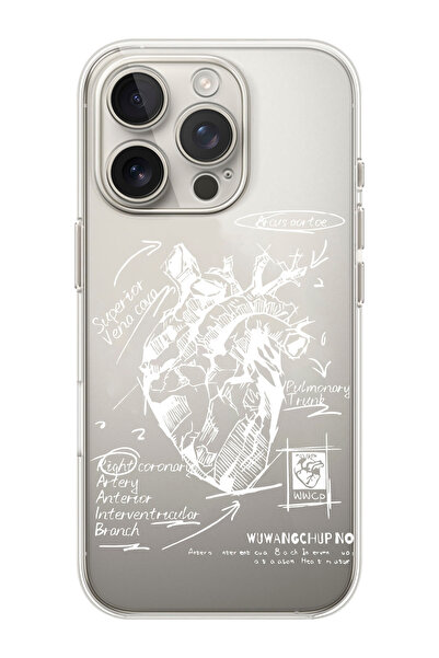 shoptocase iPhone 16 PRO Uyumlu Kalp Çizimi Desenli Şeffaf Silikon Telefon Kı...