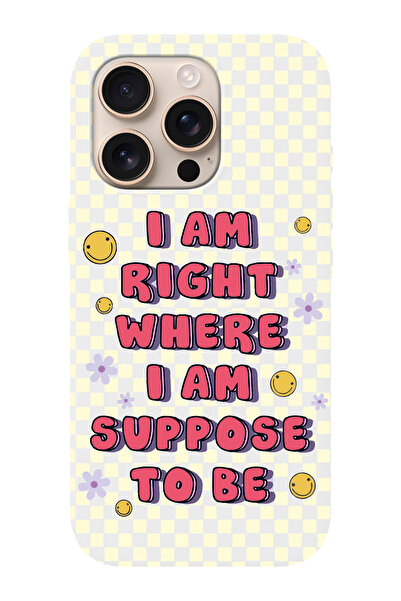 shoptocase iPhone 16 PRO Uyumlu Suppose Desenli İçi Süet Silikon Telefon Kılıfı