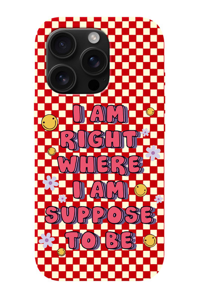 shoptocase iPhone 16 PRO MAX Uyumlu Suppose Desenli İçi Süet Silikon Telefon ...