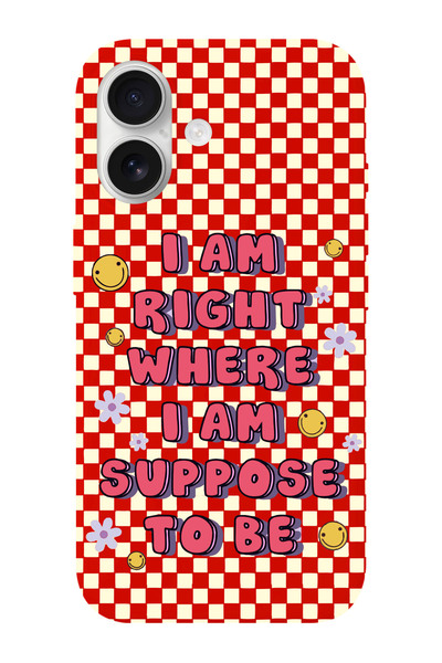 shoptocase iPhone 16 Uyumlu Suppose Desenli İçi Süet Silikon Telefon Kılıfı