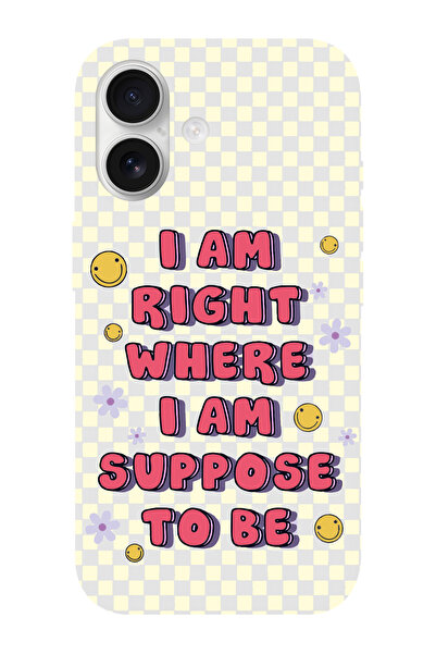 shoptocase iPhone 16 Uyumlu Suppose Desenli İçi Süet Silikon Telefon Kılıfı