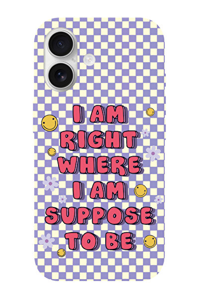 shoptocase iPhone 16 Uyumlu Suppose Desenli İçi Süet Silikon Telefon Kılıfı