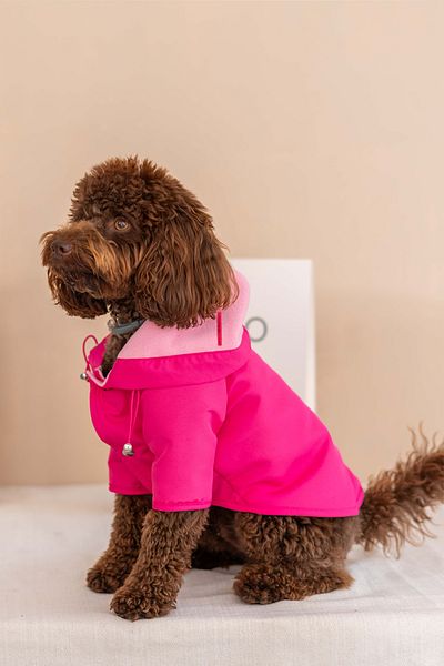 Lorico Hooded Waterproof Raincoat with Snap Fastener on the Front (Small and Large Breed Dog Coat)