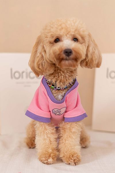 Lorico Dog Thin Sweatshirt (100% Cotton) - Pink - Dog Clothing