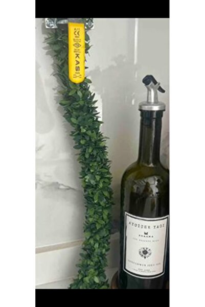 Destanşiir TASARIM Doğalgaz Borusu Gizleme Sarmaşığı 1 Metre – Dış Mekan Sarmaşık Bitkileri – Dış Mekan Sarmaşık Bitki