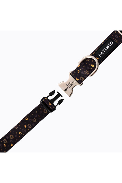 PATİMİO Gold paws Isimli Köpek Tasması Ve Gezdirme Seti, Köpek Künyesi, Köpek Isimlik, Isme Özel Tasma