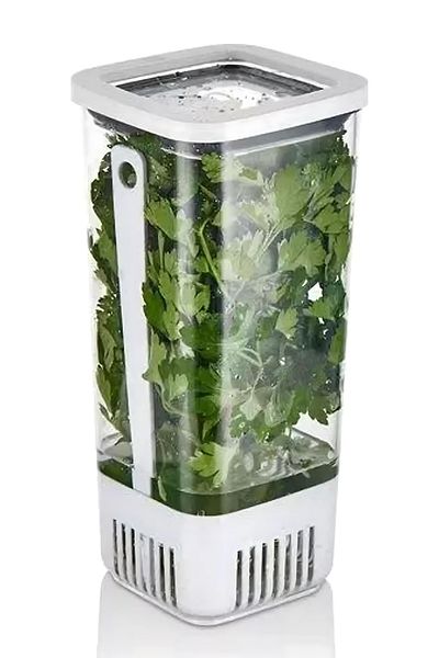 VİP AHMET Vip Ahmet 1700 ml Greenery Storage Container