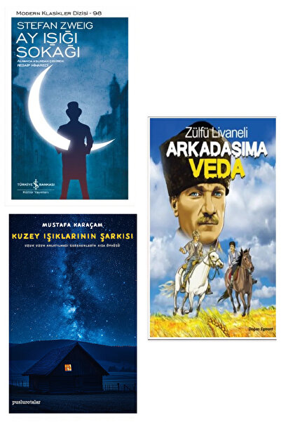 TÜRKİYE İŞ BANKASI KÜLTÜR YAYINLARI Arkadaşıma Veda - Zülfü Livaneli + Ay Işı...